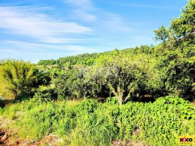 Lote/Terreno à venda, 5000m² no Linha 4 Cantos, Morro Reuter