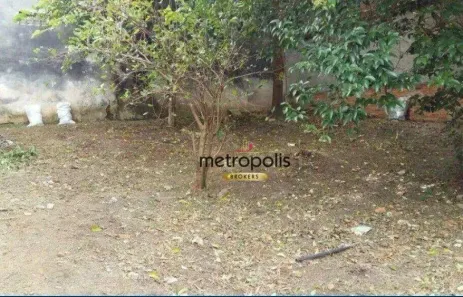 Lote/Terreno à venda, 443m² no Nova Gerty, São Caetano do Sul
