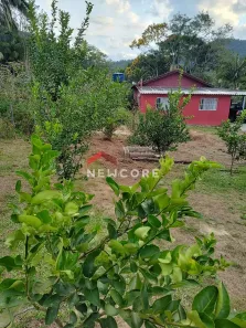 Fazenda/Sítio com 3 Quartos à venda, 237m² no , Miracatu