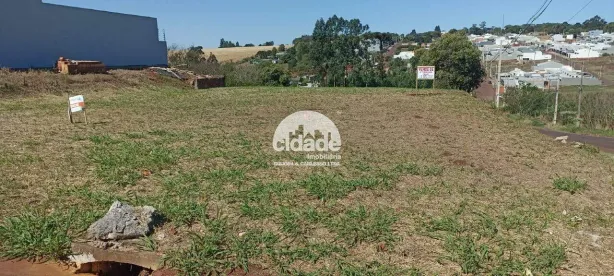 Lote/Terreno à venda, 500m² no Floresta, Cascavel
