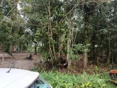 Lote/Terreno à venda, 280m² no Jardim Coronel, Itanhaém