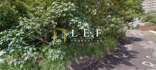Lote/Terreno à venda, 1640m² no Vila Suzana, São Paulo
