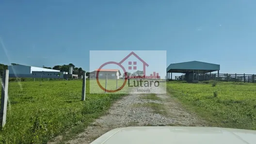 Galpão/Depósito/Armazém com 2 Quartos à venda, 895m² no Elias Fausto, Elias Fausto