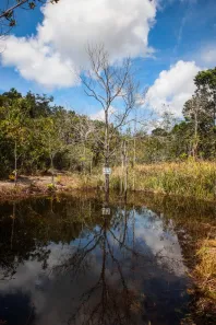 Lote/Terreno à venda, 162600m² no Barra do Pojuca (Monte Gordo), Camaçari