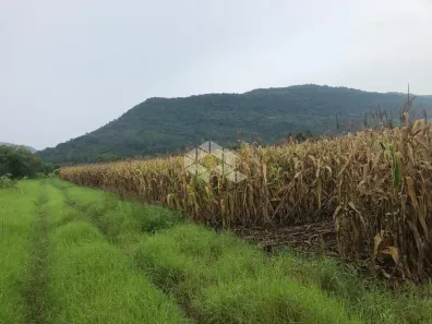 Fazenda/Sítio à venda, 110000m² no , Nova Petrópolis