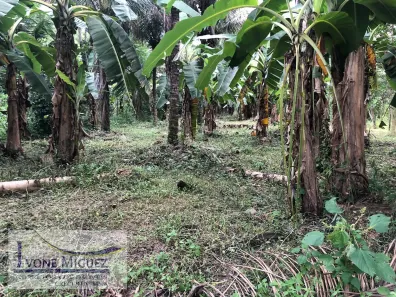 Lote/Terreno à venda, 1055m² no Conrado, Miguel Pereira