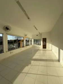 para alugar, 38m² no Jardim Paulista, Ribeirão Preto