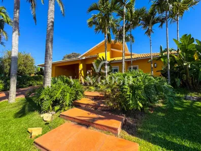 Casa com 4 Quartos para venda ou aluguel, 1060m² no Palm Park, Holambra