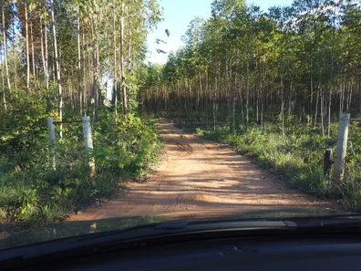 Fazenda/Sítio à venda, 145000m² no , Baldim
