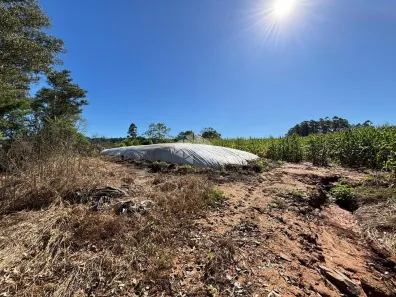 Fazenda/Sítio à venda, 50000m² no , Santa Cruz do Sul