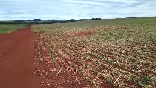 Fazenda/Sítio à venda, 2420000m² no Área Rural de Campo Mourão, Campo Mourão
