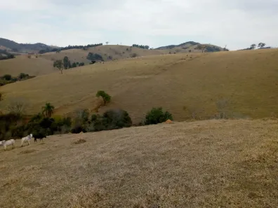 Fazenda/Sítio com 3 Quartos à venda, 90m² no , Cambuí