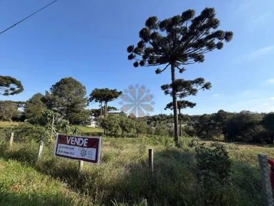Lote/Terreno à venda, 5594m² no Santa Felicidade, Curitiba