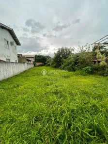Lote/Terreno à venda, 367m² no Morro das Pedras, Florianópolis
