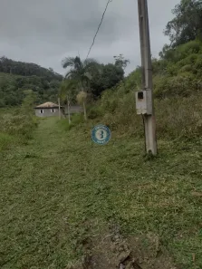 Fazenda/Sítio com 3 Quartos à venda, 60000m² no Vila Ponce, Registro