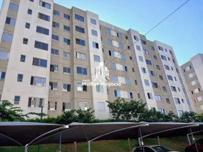 Apartamento com 2 Quartos à venda, 45m² no Parque Yolanda (Nova Veneza), Sumaré