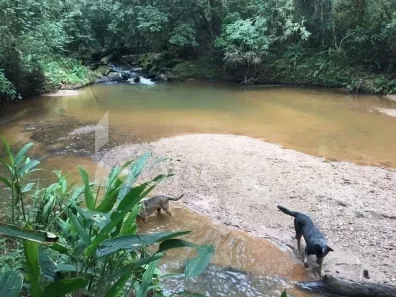 Fazenda/Sítio com 4 Quartos à venda, 19m² no Centro, Paraibuna