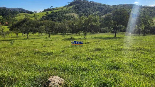 Fazenda/Sítio à venda, 230000m² no , Bonfim