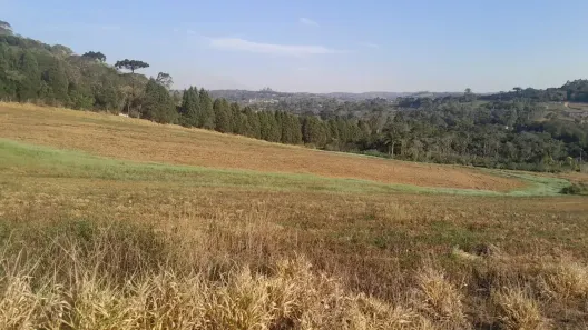 Lote/Terreno à venda, 500m² no Centro (Caucaia do Alto), Cotia