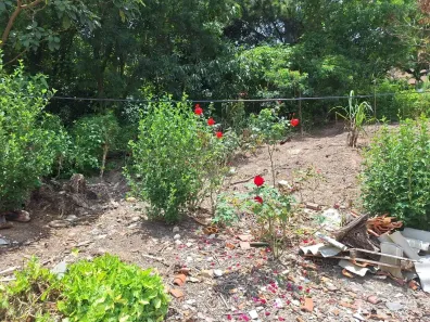 Fazenda/Sítio com 1 Quarto à venda, 180m² no São Miguel, Almirante Tamandaré