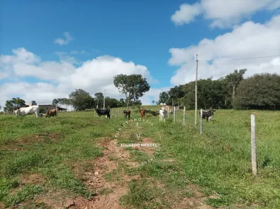 Fazenda/Sítio com 4 Quartos à venda, 72600m² no , Abadiânia