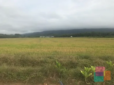 Lote/Terreno à venda, 73000m² no 3 Barras, Garuva
