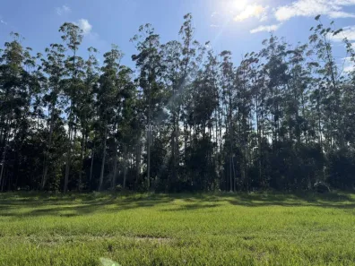 Lote/Terreno à venda, 583m² no Thermas de Santa Bárbara, Águas de Santa Bárbara