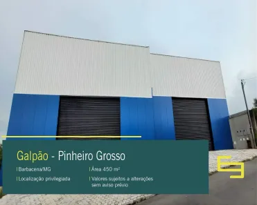 Galpão/Depósito/Armazém para alugar, 450m² no Pinheiro Grosso, Barbacena