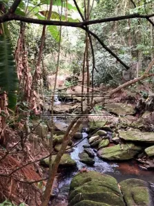 Lote/Terreno à venda, 5497m² no Angola, Santa Branca
