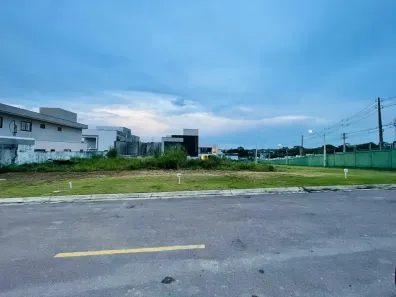 Lote/Terreno à venda, 250m² no Novo Aleixo, Manaus
