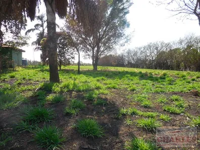 Lote/Terreno à venda, 626m² no Jardim Europa, Mogi Mirim