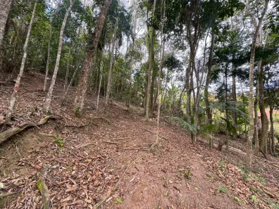 Lote/Terreno à venda, 379m² no Granjas Betânia, Juiz de Fora