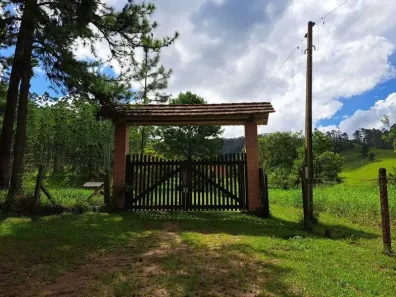 Fazenda/Sítio com 3 Quartos à venda, 250000m² no São João, BENEDITO NOVO