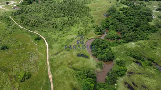 Fazenda/Sítio à venda, 2114000m² no , Itanagra