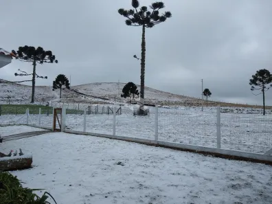 Fazenda/Sítio com 2 Quartos à venda, 284m² no Centro, São Francisco de Paula
