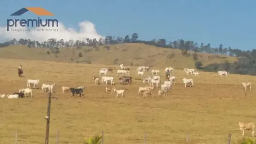 Fazenda/Sítio com 4 Quartos à venda, 968000m² no , Vargem