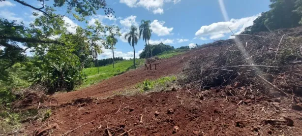 Lote/Terreno à venda, 20000m² no Quatro Cantos, Picada Café