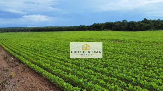 Fazenda/Sítio com 10 Quartos à venda, 600m² no Jardim Tropical, Gurupi