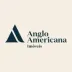 Miniatura da foto de Anglo Americana Imóveis