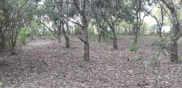 Lote/Terreno à venda, 4940m² no Ajuda de Cima, Macaé