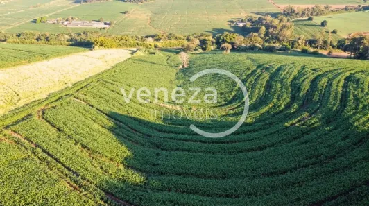 Fazenda/Sítio com 1 Quarto à venda, 121000m² no , Ibiporã