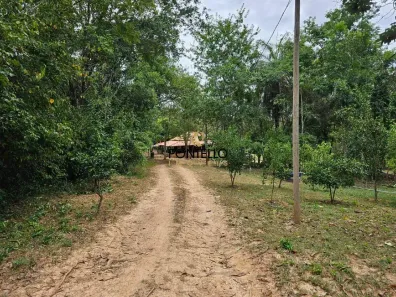 Fazenda/Sítio com 3 Quartos à venda, 300m² no , Jequitibá