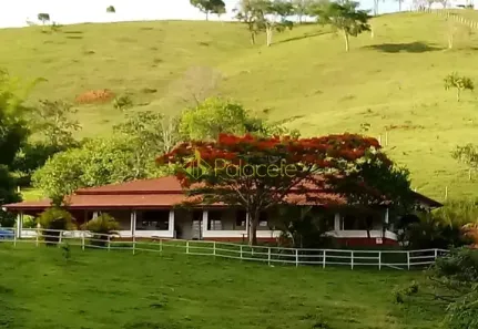 Fazenda/Sítio com 4 Quartos à venda, 273m² no São Luiz do Paraitinga, São Luiz do Paraitinga