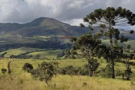 Fazenda/Sítio à venda, 163000m² no , Baependi