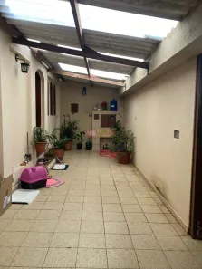 Lote/Terreno à venda, 303m² no Vila Floresta, Santo André