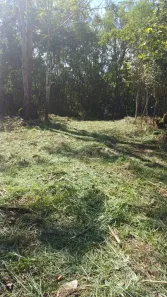Fazenda/Sítio à venda, 20000m² no Taiaçupeba, Mogi das Cruzes