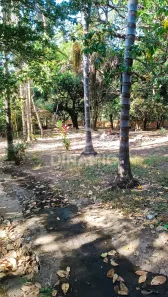 Fazenda/Sítio com 3 Quartos à venda, 22000m² no Vale do Sol, Aparecida de Goiânia