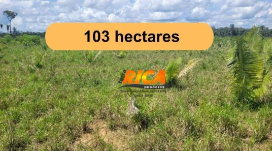 Fazenda/Sítio à venda, 1030000m² no Área Rural, Canutama