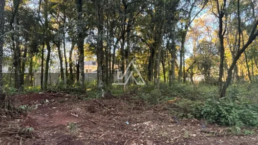 Lote/Terreno à venda, 396m² no Lucas Araújo, Passo Fundo