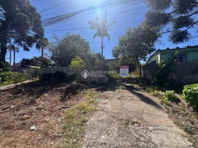Lote/Terreno à venda, 330m² no Pinheirinho, Curitiba